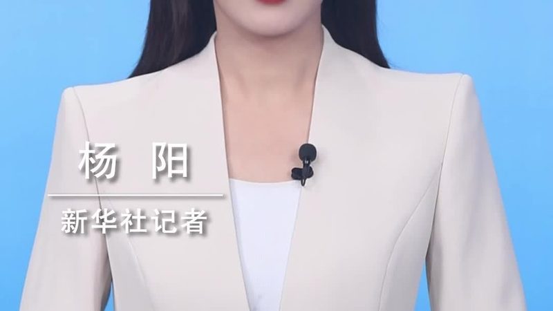 RPA实施公司优缺点对比
